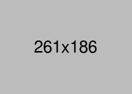 auction-img