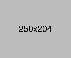 auction-img